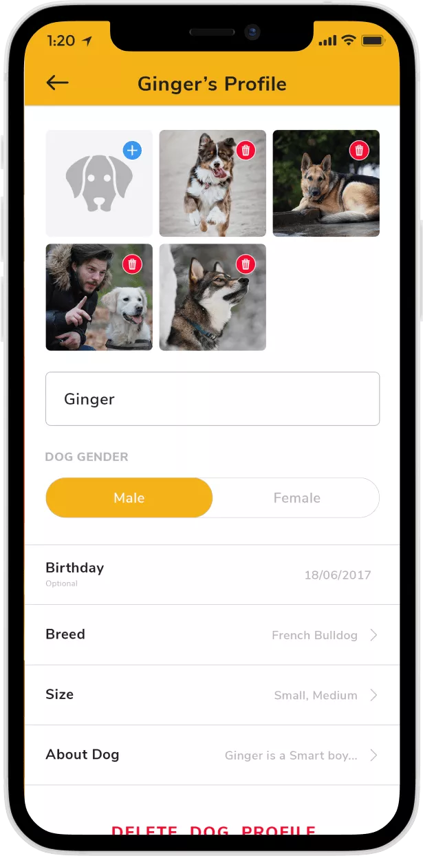 app-screen
